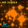 HD 318014
