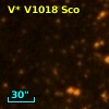 V* V1018 Sco