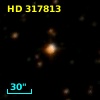 HD 317813