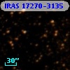 IRAS 17270-3135