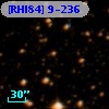 [RHI84]  9-236