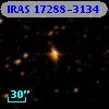 IRAS 17288-3134