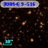 [RHI84]  9-516