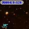 [RHI84]  9-529