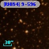 [RHI84]  9-596