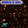 [RHI84]  9-603