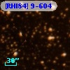 [RHI84]  9-604