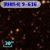 [RHI84]  9-616