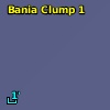 Bania Clump 1
