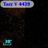 Terz V 4439