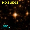 HD 318013
