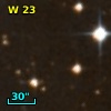 W 23