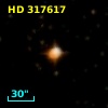 HD 317617