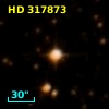HD 317873