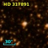 HD 317891