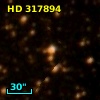 HD 317894