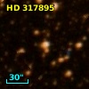 HD 317895
