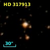 HD 317913