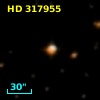 HD 317955