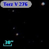 Terz V  276