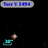 Terz V 1494