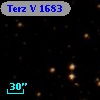 Terz V 1683
