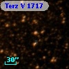 Terz V 1717