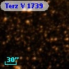 Terz V 1739