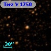 Terz V 1750