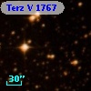 Terz V 1767