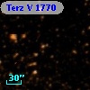 Terz V 1770