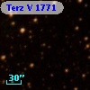 Terz V 1771