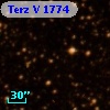 Terz V 1774