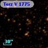 Terz V 1775