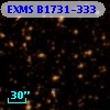 EXMS B1731-333