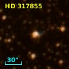 HD 317855