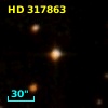 HD 317863