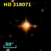 HD 318071