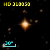 HD 318050