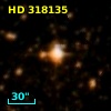 HD 318135