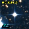 HD 318113