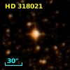 HD 318021