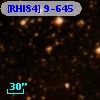 [RHI84]  9-645