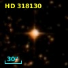 HD 318130