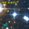 HD 318117