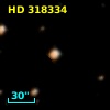 HD 318334
