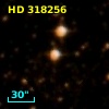 HD 318256