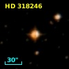 HD 318246