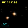 HD 318236
