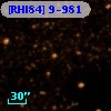 [RHI84]  9-981